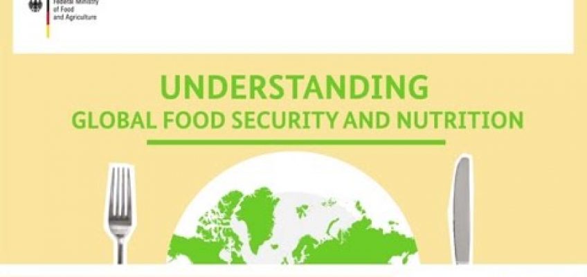 "Understanding global food security and nutrition"