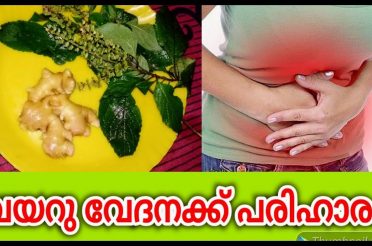 വയറു വേദനക്ക് ഒറ്റമൂലി | Stomach Pain Remedie Malayalam | Health Tips Malayalam | Top10