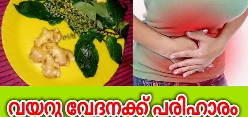വയറു വേദനക്ക് ഒറ്റമൂലി | Stomach Pain Remedie Malayalam | Health Tips Malayalam | Top10