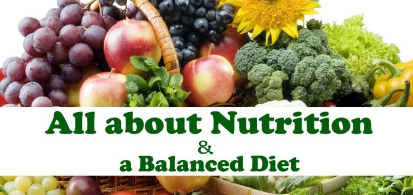 All About NUTRITION | Balanced Diet Chart | Diet plan in quarantine Days | Letstute