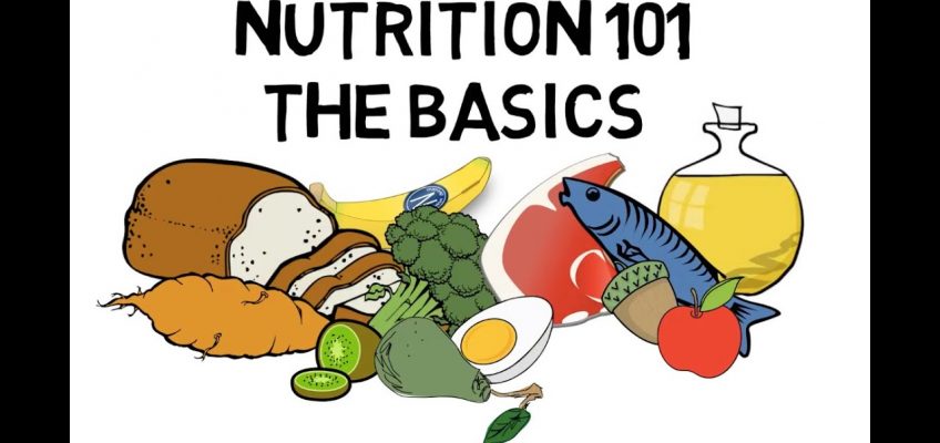 Basic Nutrition and Macro – Nutrients Video Animation by Train With Kane