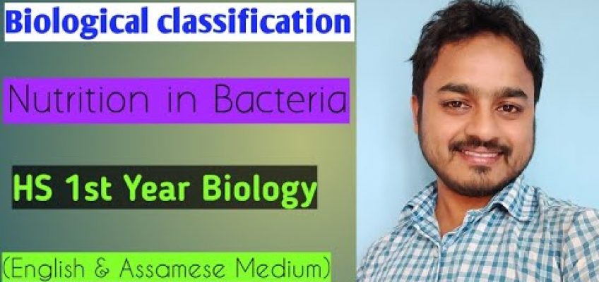 Biological classification   Nutrition in Bacteria