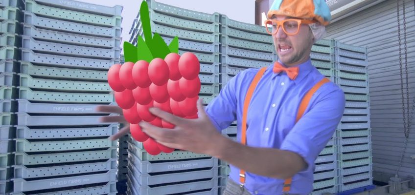Blippi Raspberry Factory Tour | Learn Machines for Kids and FRUIT!