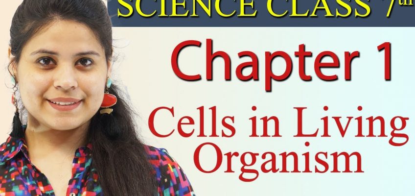 Cells in Living Organism – Chapter 1 – Nutrition in Plants – NCERT Science Class 7