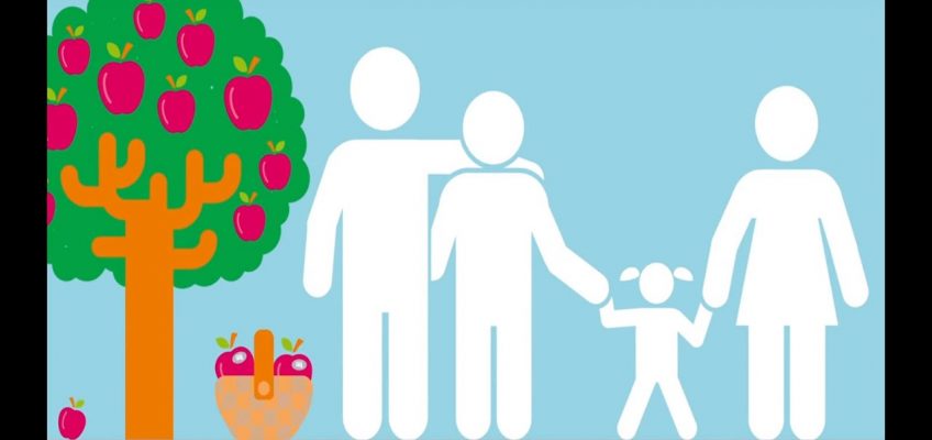 Childhood Obesity: The impact of nutrition on health