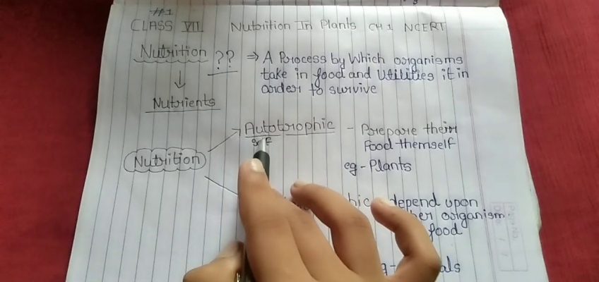 Class 7  Nutrition in plant CH 1 #1