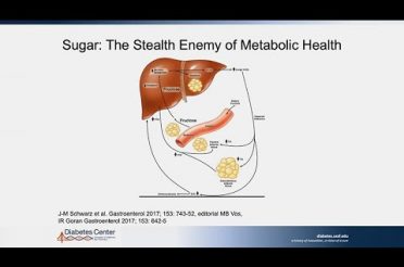 Eating Precisely: Merging Nutrition with Individualized Factors to Optimize Metabolic Health
