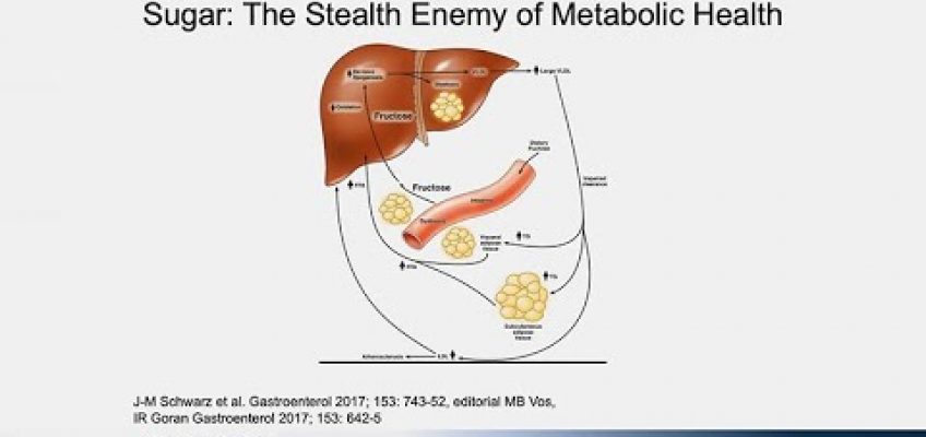 Eating Precisely: Merging Nutrition with Individualized Factors to Optimize Metabolic Health