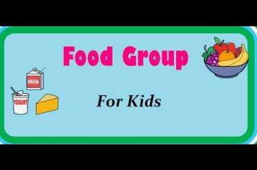 Food Pyramid – Nutrition Table – Food and its groups for kids