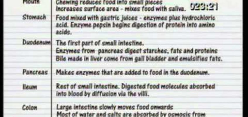 GCSE BBC Science Bitesize – Nutrition