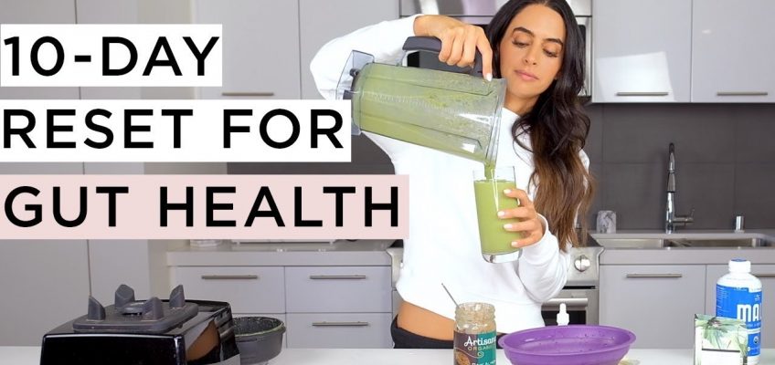 Gut Healthy Foods and Drinks – Gut Reset Diet | Dr Mona Vand