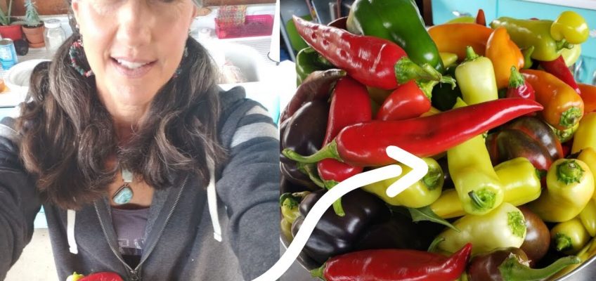 HOW TO FERMENT any VEGETABLE! get more NUTRITION