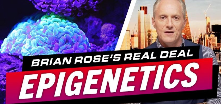 HOW TO USE EPIGENETICS TO MASTER YOUR DIET, HEALTH AND FITNESS – Brian Rose's Real Deal