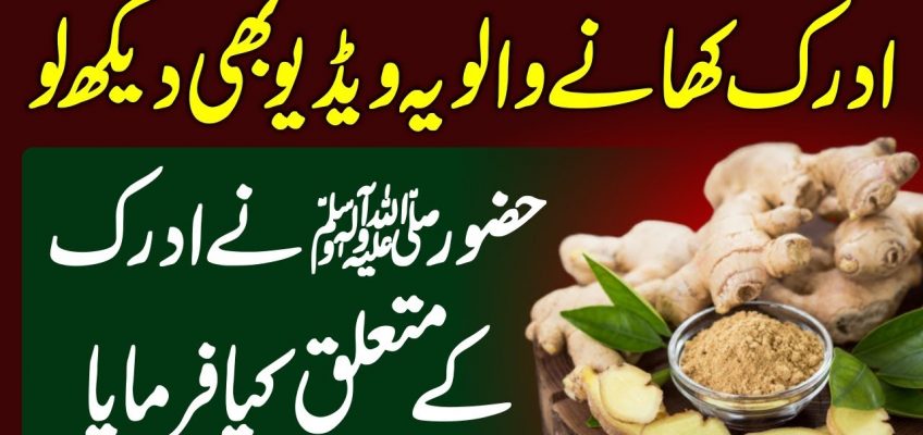 Health And Fitness Benefits Of Ginger (Adrak K Fayde) With Tib E Nabvi Urdu Hindi || Urdu Lab