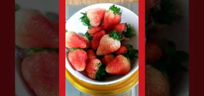 Healthy food❤❤❤
