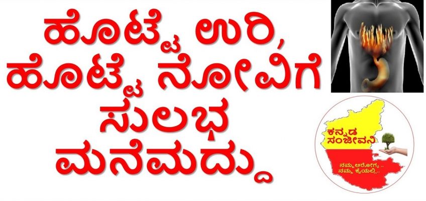 Home Remedies for Stomach Burning | Stomach Pain | Acidity Gas problem | Kannada Sanjeevani
