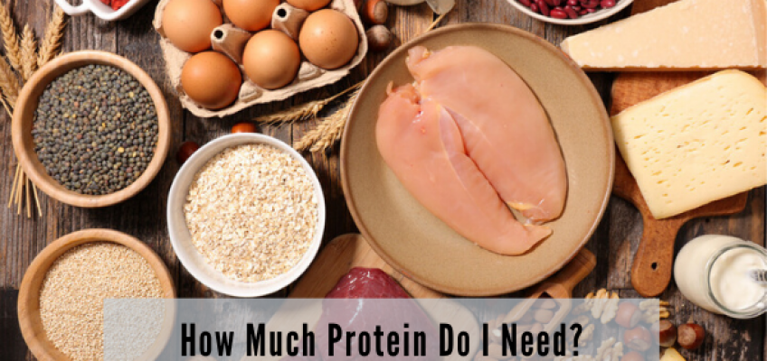 How Much Protein Do I Need? | Health Stand Nutrition