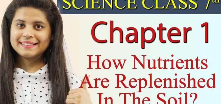 How Nutrients Are Replenished In The Soil? – Chapter 1 – Nutrition in Plants – Class 7 Science