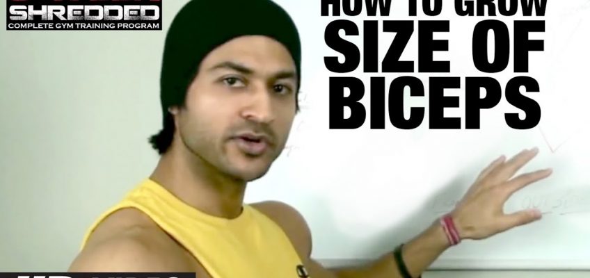 How To Grow Size Of Biceps | Health and Fitness Tips | Guru Mann | Workout Tips