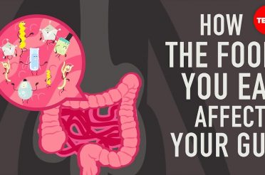 How the food you eat affects your gut – Shilpa Ravella