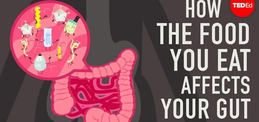 How the food you eat affects your gut – Shilpa Ravella