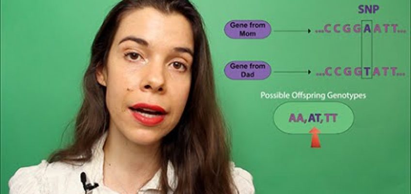 How to Personalize Your Nutrition Based On Genetics (Revised 3/19/15)