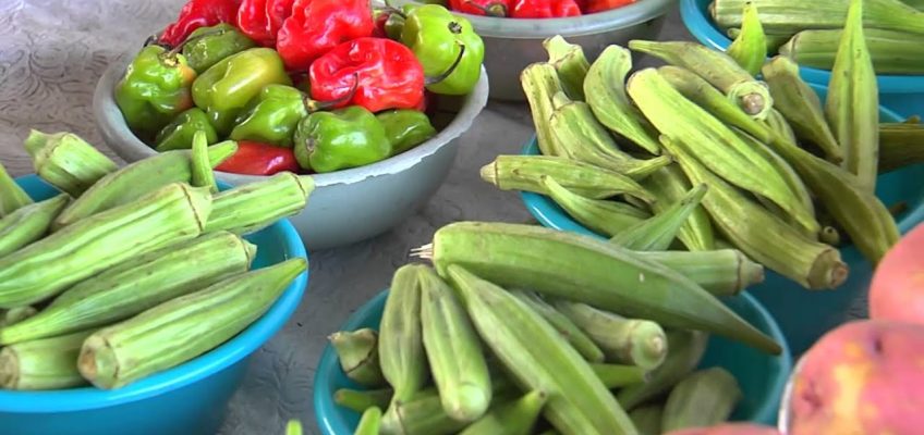 Lean & Green – The Heart Healthy Diet