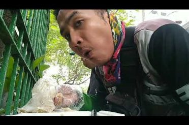 Life and Travel – Budget Healthy Meal