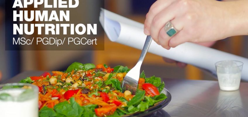 Masters in Applied Human Nutrition