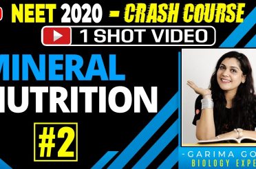 Mineral Nutrition One Shot Part 2 | Crash Course NEET 2020 Preparation | NEET Biology | Garima Goel