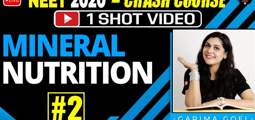 Mineral Nutrition One Shot Part 2 | Crash Course NEET 2020 Preparation | NEET Biology | Garima Goel