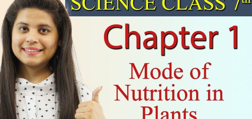 Mode of Nutrition in Plants – Nutrition in Plants – Chapter 1 Class 7 Science