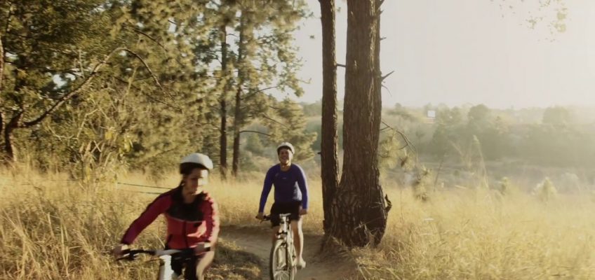 National Health and Fitness Day