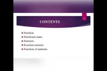 Nutrition🍒: Basic Concepts
