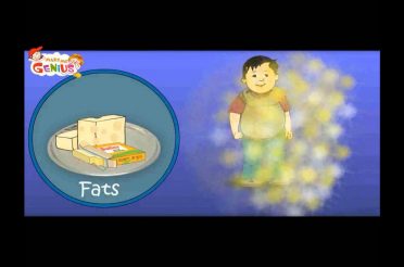 Nutrition (Food ) Table Video for Kids-Food Pyramid -Heathy Diet
