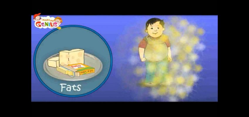Nutrition (Food ) Table Video for Kids-Food Pyramid -Heathy Diet