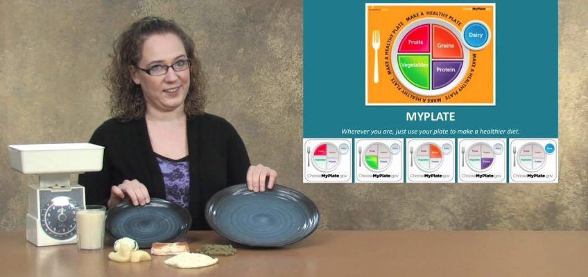 Nutrition Through the Lifecycle: My Plate