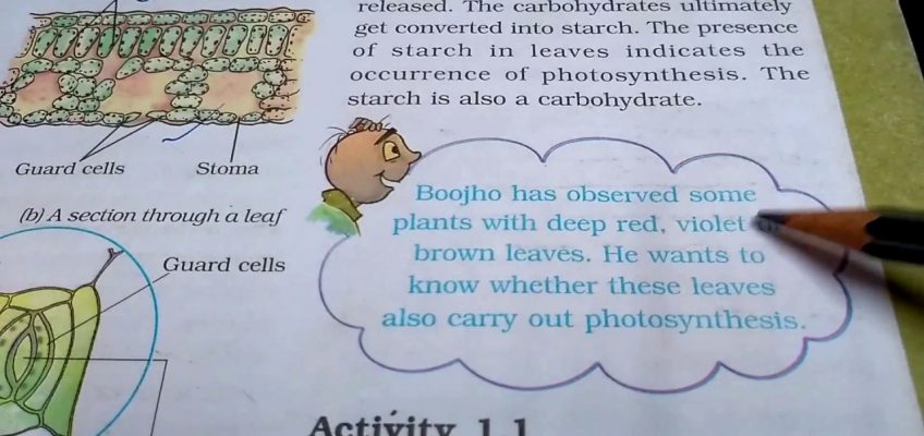 Nutrition in plants chapter 1 of 7th class  science ncert