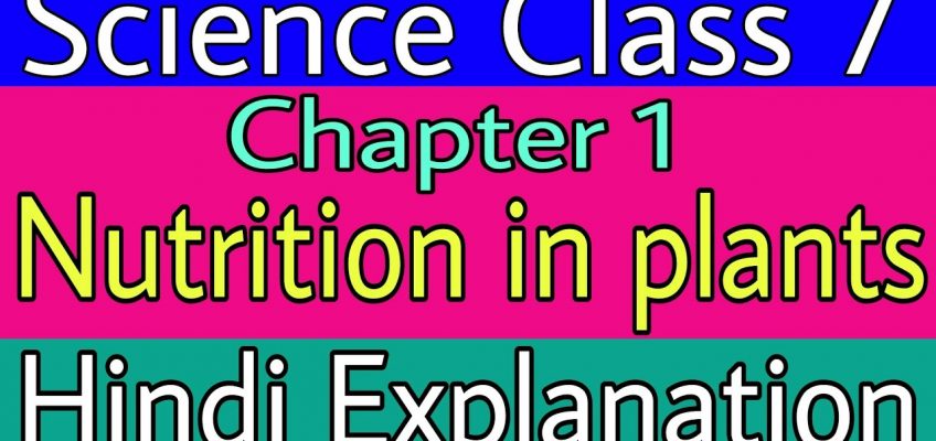 Nutrition in plants class 7 in hindi