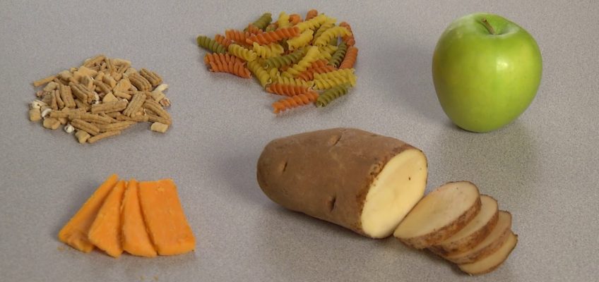 Nutrition is key to sports performance