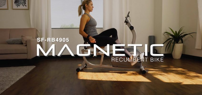 Sunny Health & Fitness SF-RB4905 Magnetic Recumbent Exercise Bike
