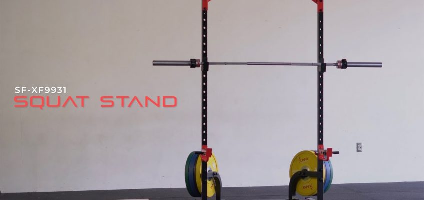 Sunny Health & Fitness SF-XF9931 Squat Stand