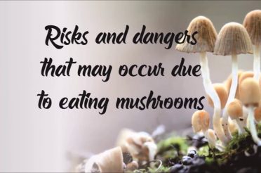 Various Benefits and Risks of Mushroom Eating