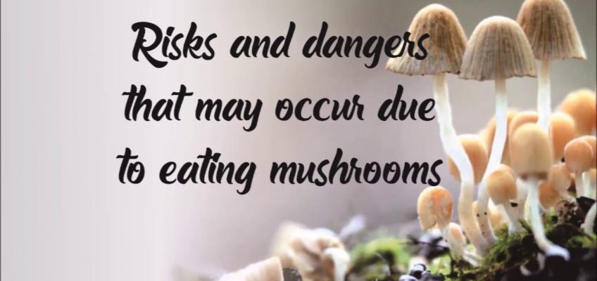 Various Benefits and Risks of Mushroom Eating