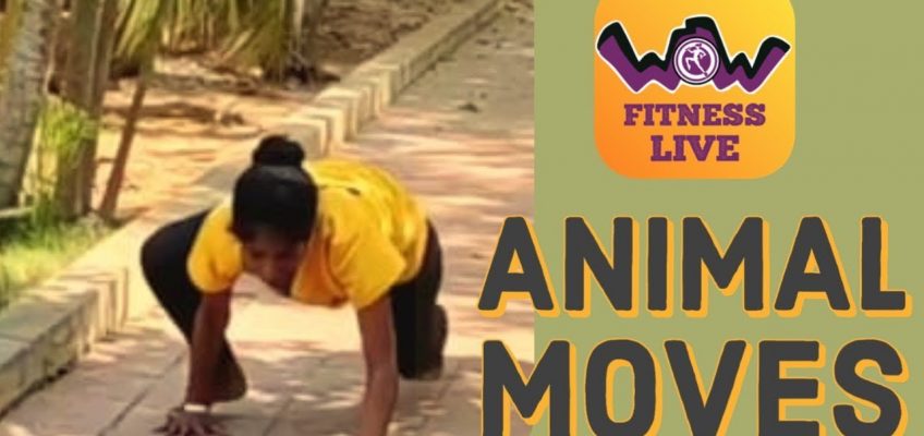 Workout 2 | Animal moves | Health and Fitness Project | #stayhome #staywow