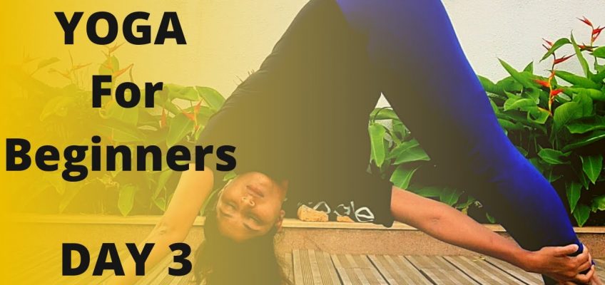 Yoga for beginners | Health and Fitness | Tashi Yoga |