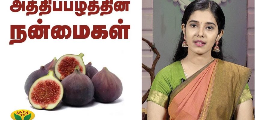 அத்திப்பழம் சாப்பிட்டால் இவ்வளவு நன்மைகளா? | Athipalam | Nutrition Diary | Adupangarai | Jaya TV