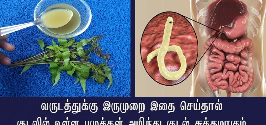 ஆறு மாதத்துக்கு ஒரு முறை இதை குடித்தால் குடல் புழு எல்லாம் அழிந்து குடல் சுத்தமாகும்  clean stomach