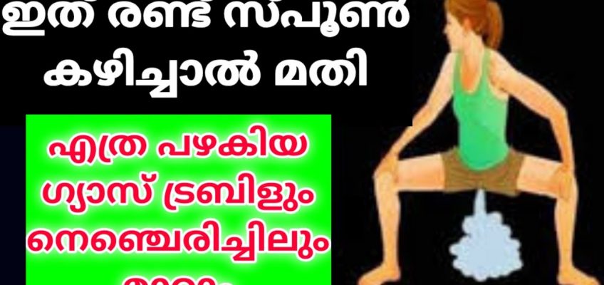 ഗ്യാസ് ട്രബിൾ, നെഞ്ചരിച്ചിൽ പൂർണ്ണമായി മാറ്റിയെടുക്കാം || Gas Trouble Home Remedy Malayalam || top10
