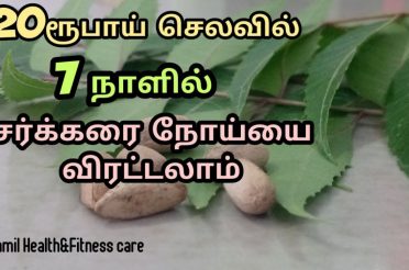 20ரூபாய் செலவில் 7 நாளில் சர்க்கரை நோய்யை விரட்டலாம் |Tamil Health and Fitness care